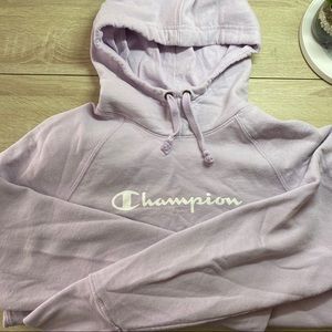 Champion Sweater
